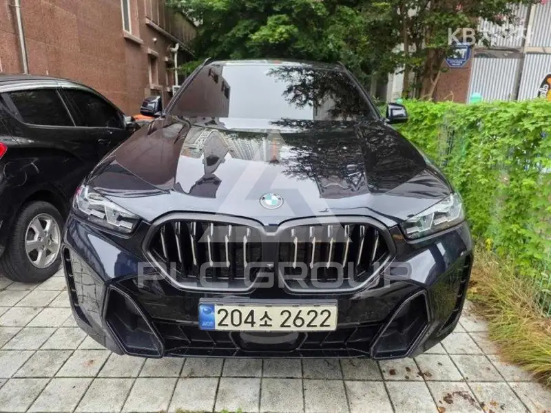 2024 BMW X6