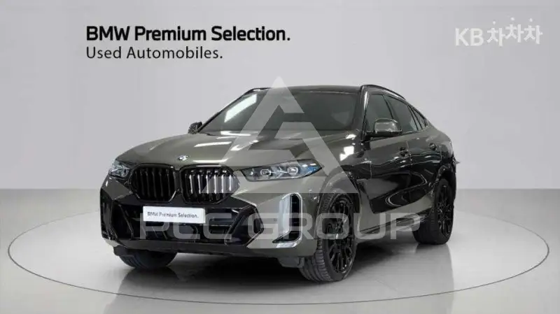 2024 BMW X6