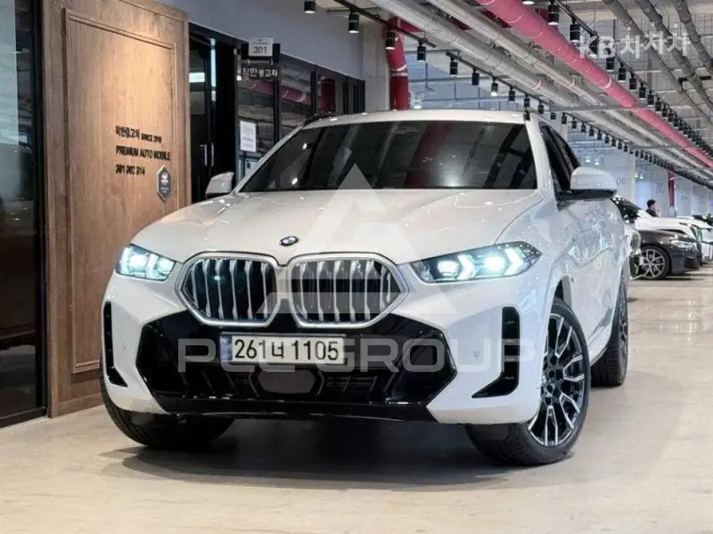 2024 BMW X6