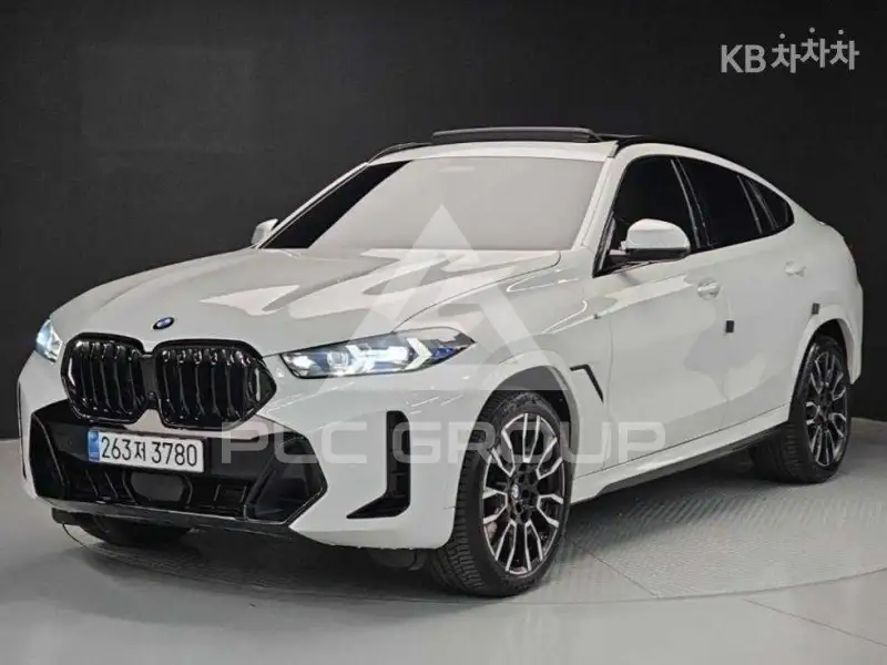 2024 BMW X6