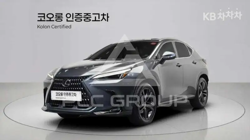 2024 Lexus NX