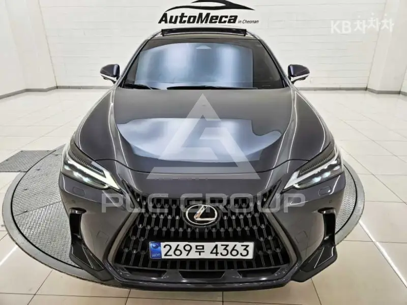 2024 Lexus NX