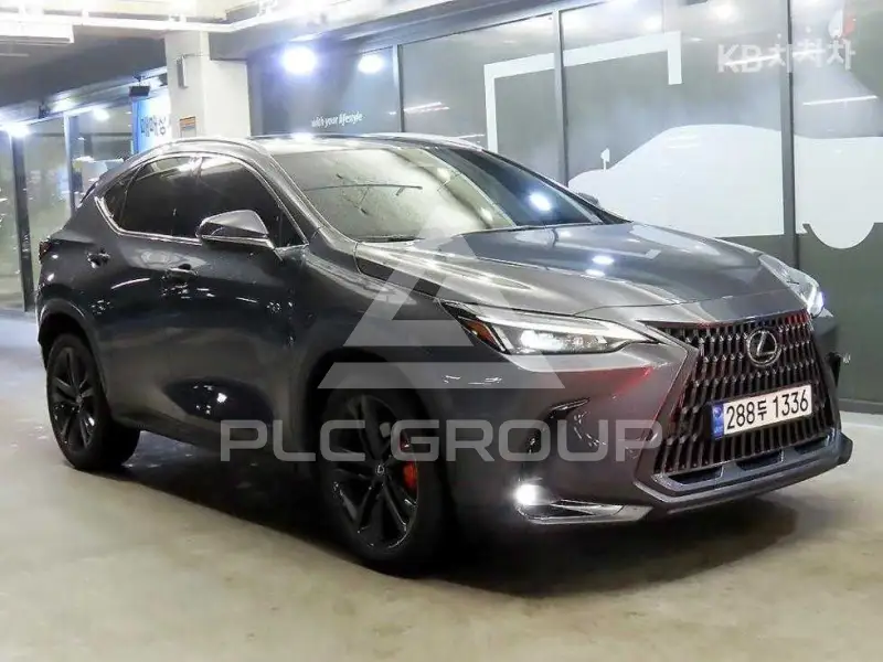 2024 Lexus NX