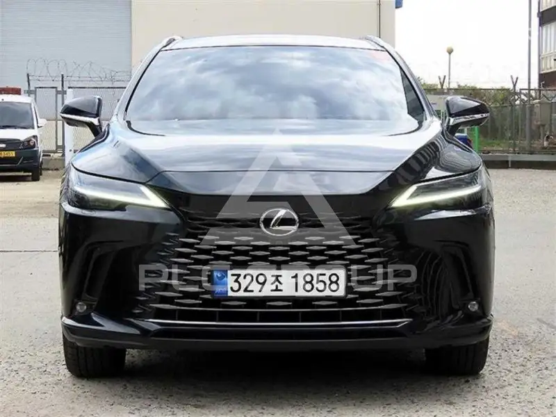 2024 Lexus RX