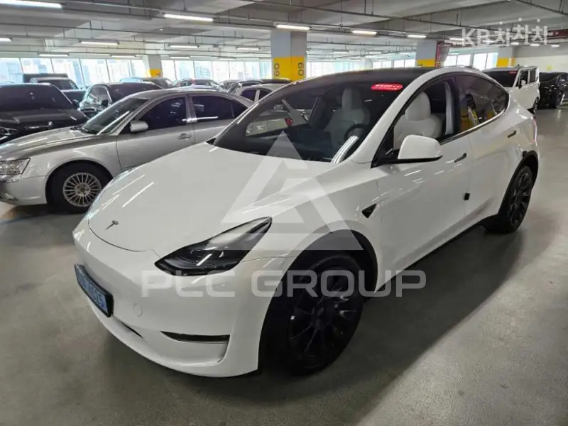 2024 Tesla Model Y