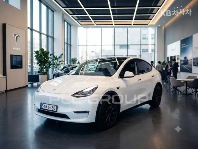 2024 Tesla Model Y