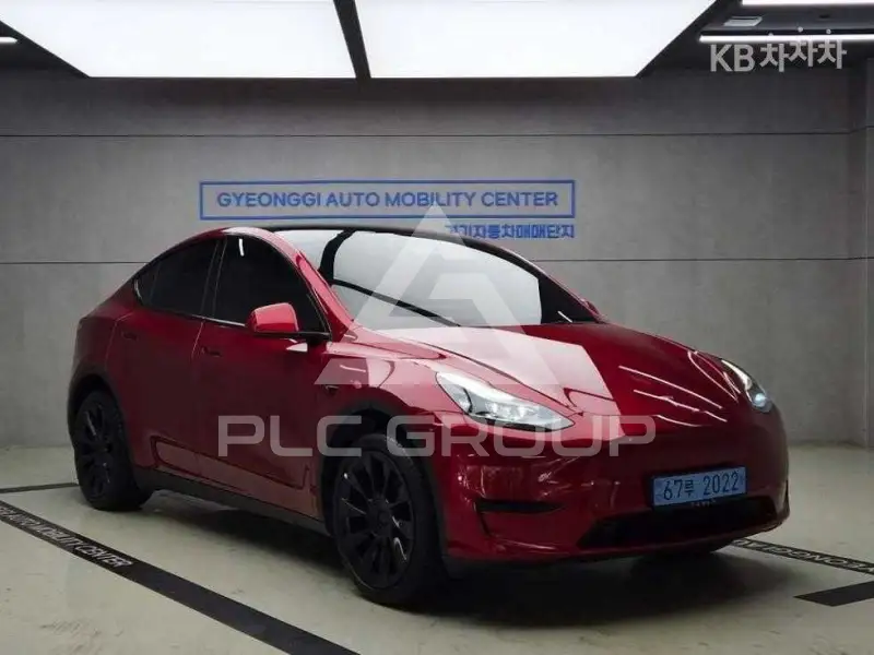 2024 Tesla Model Y
