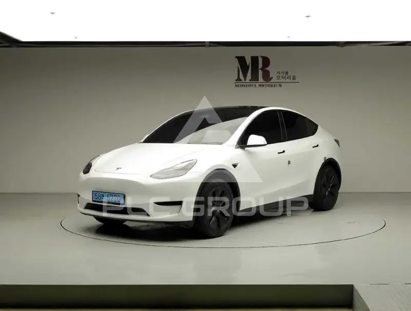 2024 Tesla Model Y