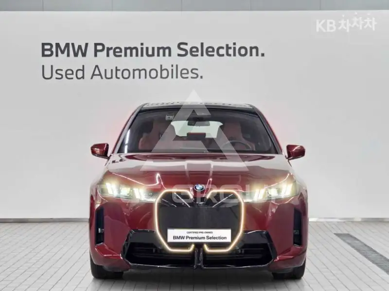 2025 BMW iX