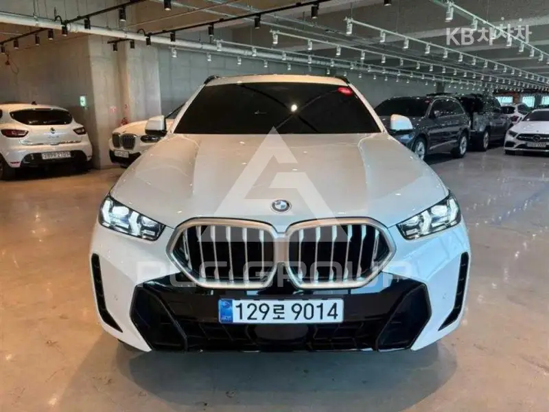 2025 BMW X6
