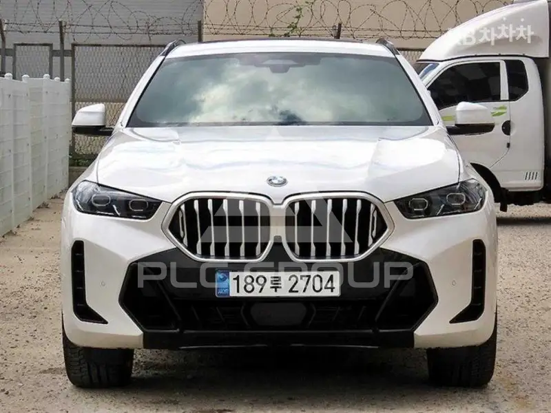 2025 BMW X6