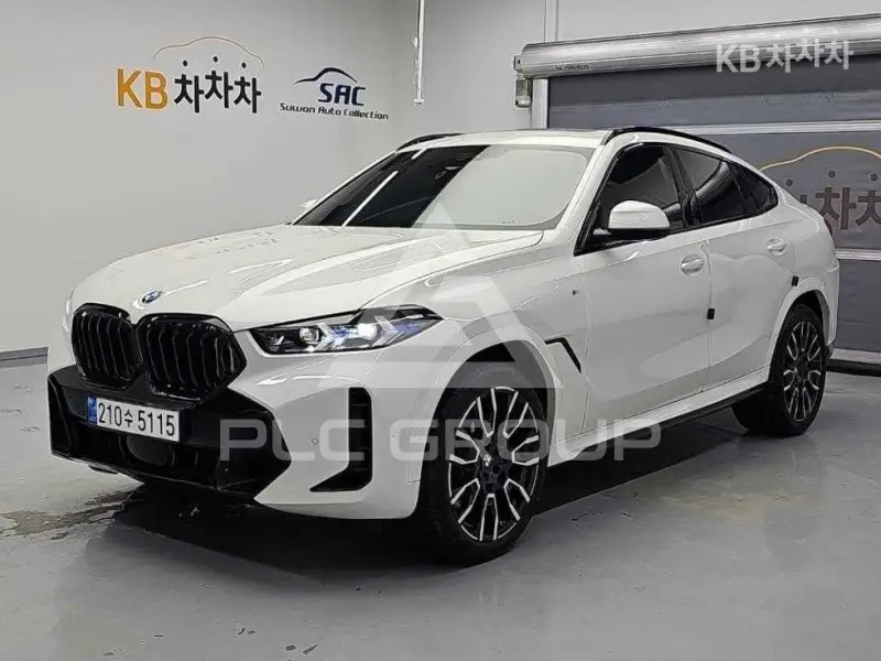 2025 BMW X6