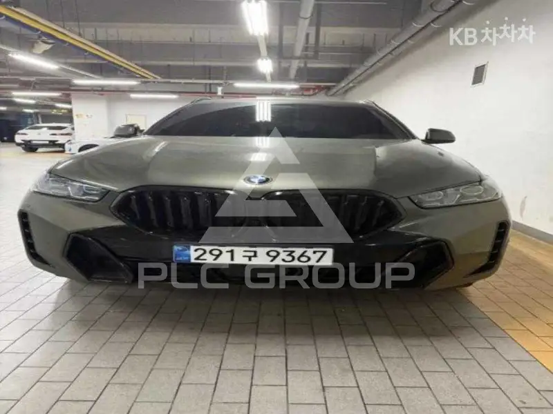 2025 BMW X6