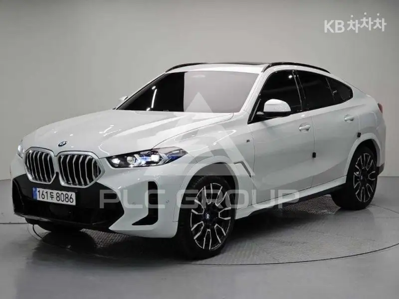 2025 BMW X6