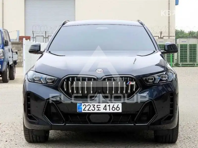 2025 BMW X6