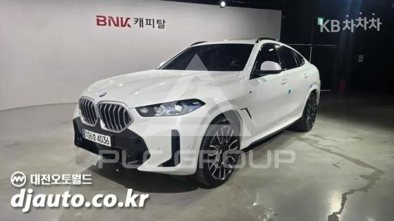 2025 BMW X6