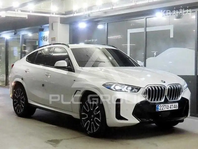 2025 BMW X6