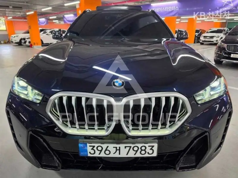 2025 BMW X6