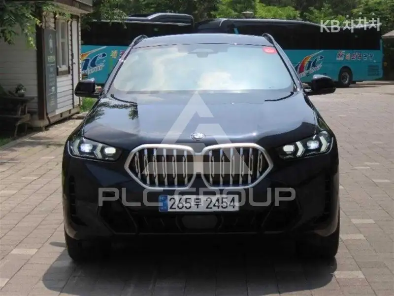 2025 BMW X6