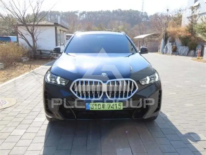 2025 BMW X6