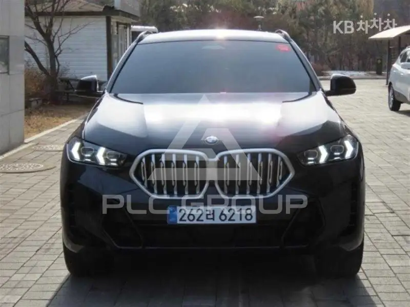 2025 BMW X6