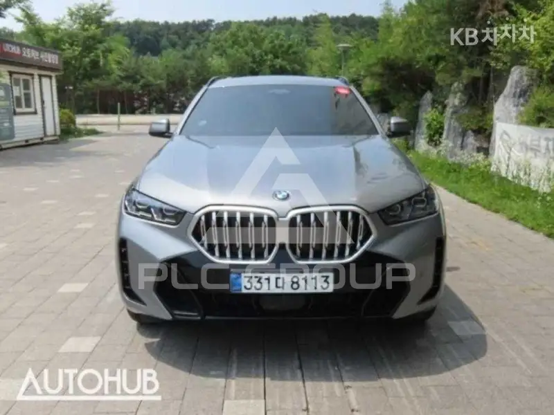 2025 BMW X6