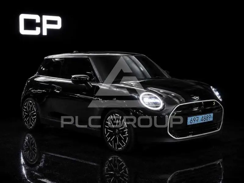 2025 Mini 