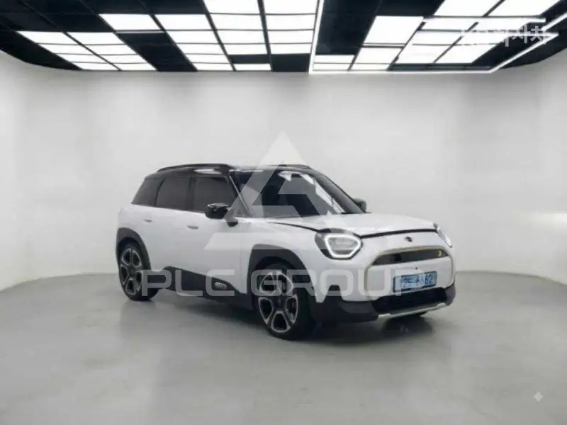 2025 Mini Paceman