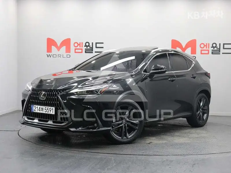 2025 Lexus NX
