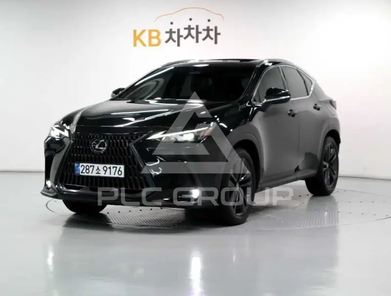 2025 Lexus NX