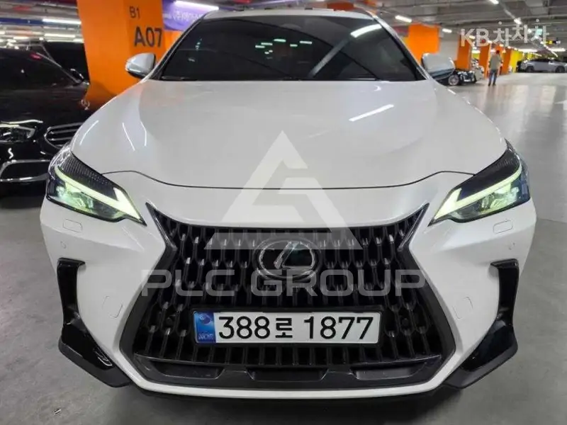 2025 Lexus NX