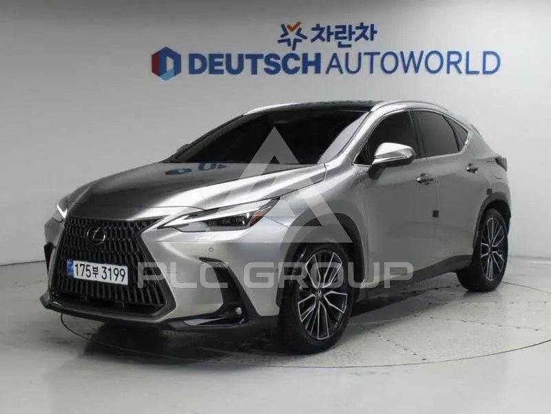 2025 Lexus NX