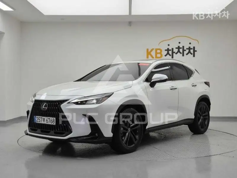 2025 Lexus NX