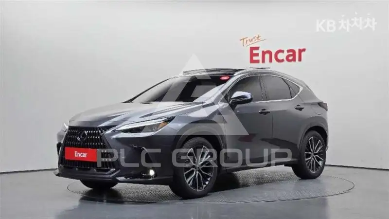 2025 Lexus NX