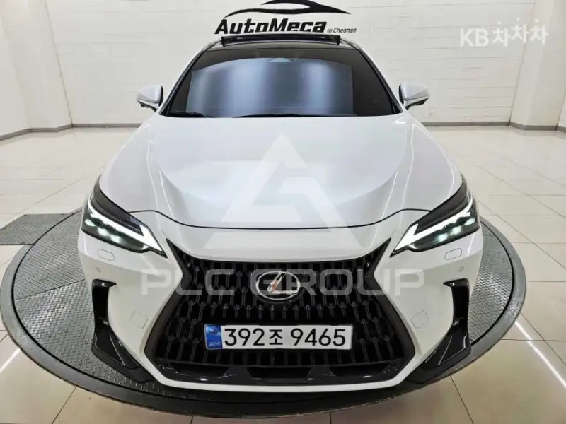 2025 Lexus NX