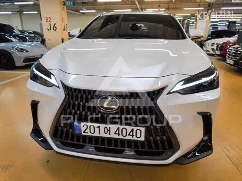 2025 Lexus NX
