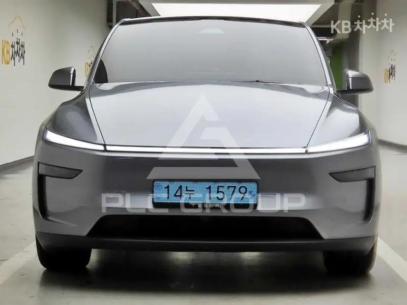 2025 Tesla Model Y
