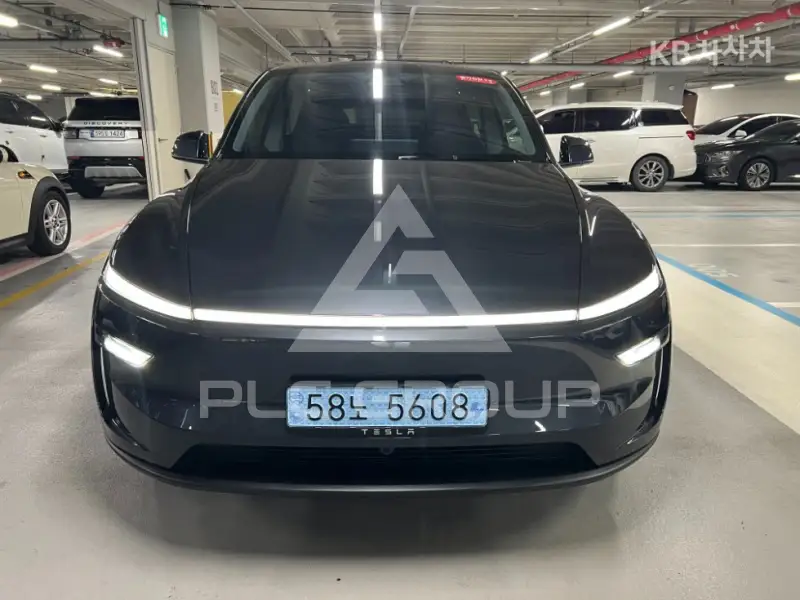 2025 Tesla Model Y