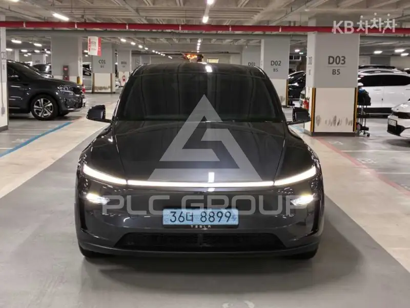 2025 Tesla Model Y