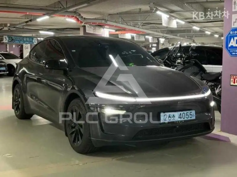 2025 Tesla Model Y