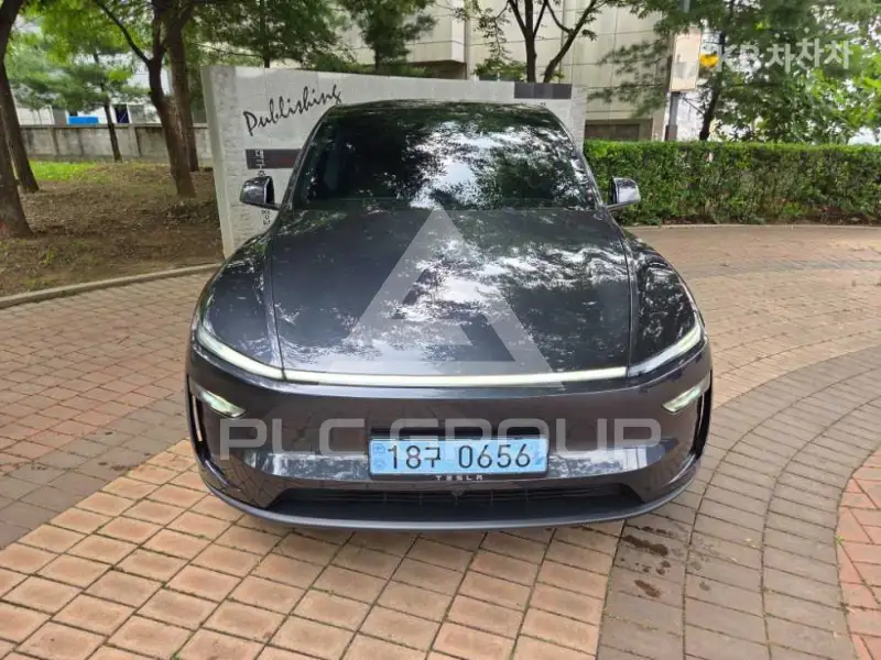 2025 Tesla Model Y