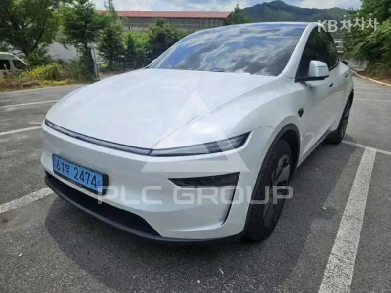 2025 Tesla Model Y