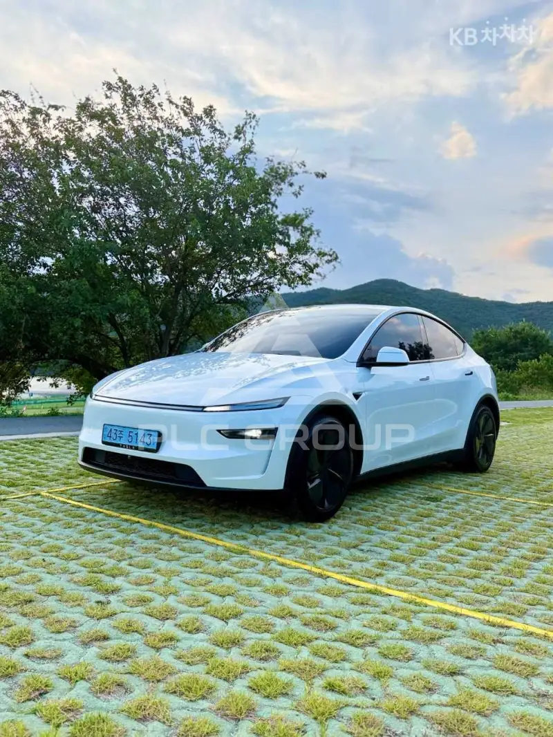 2025 Tesla Model Y