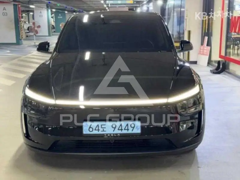 2025 Tesla Model Y
