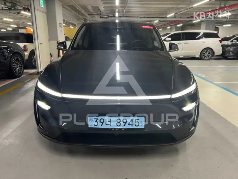 2025 Tesla Model Y