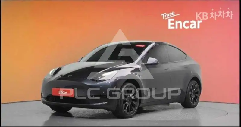 2025 Tesla Model Y