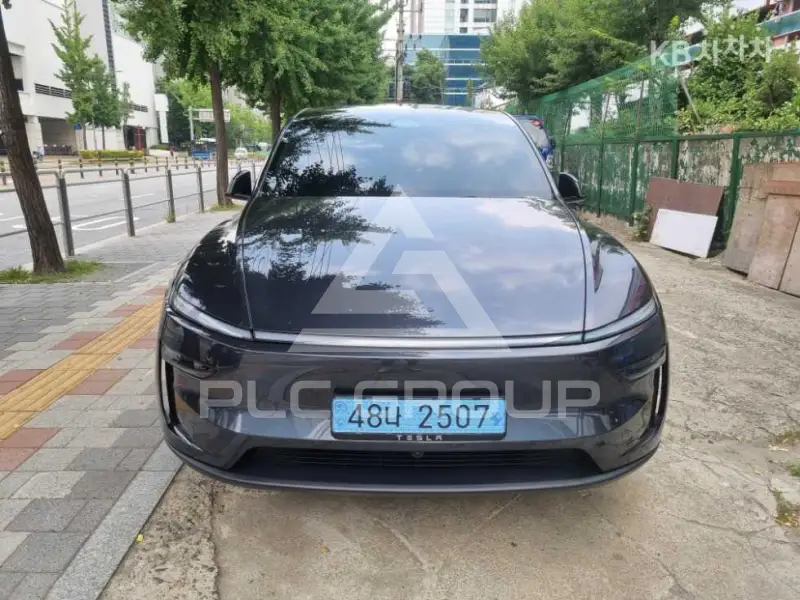 2025 Tesla Model Y