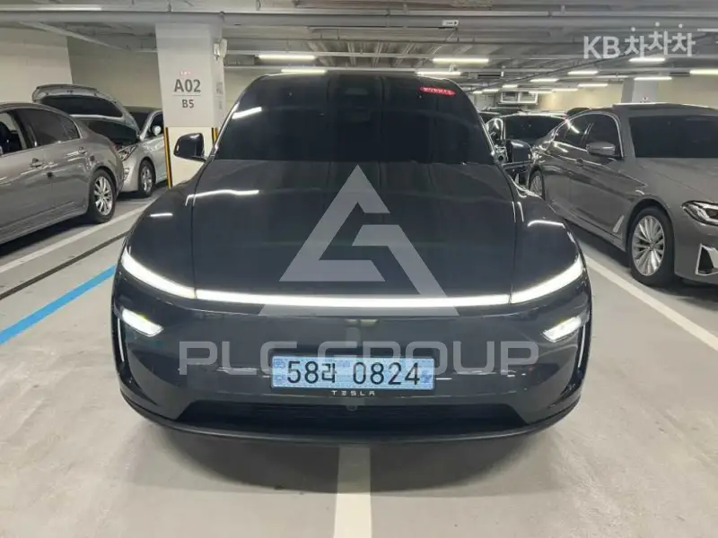 2025 Tesla Model Y