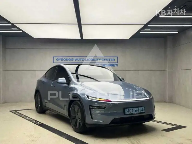 2025 Tesla Model Y