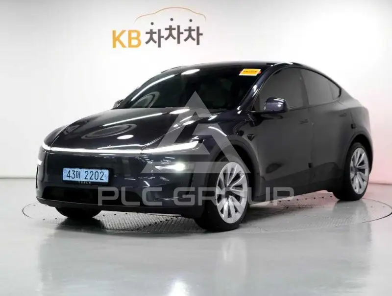 2025 Tesla Model Y